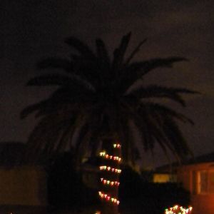 Meet your Posher, Debra